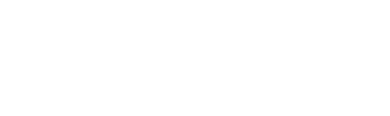 Tamara conexion